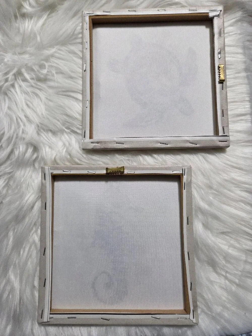 Turtle & Seahorse Wall Art Set